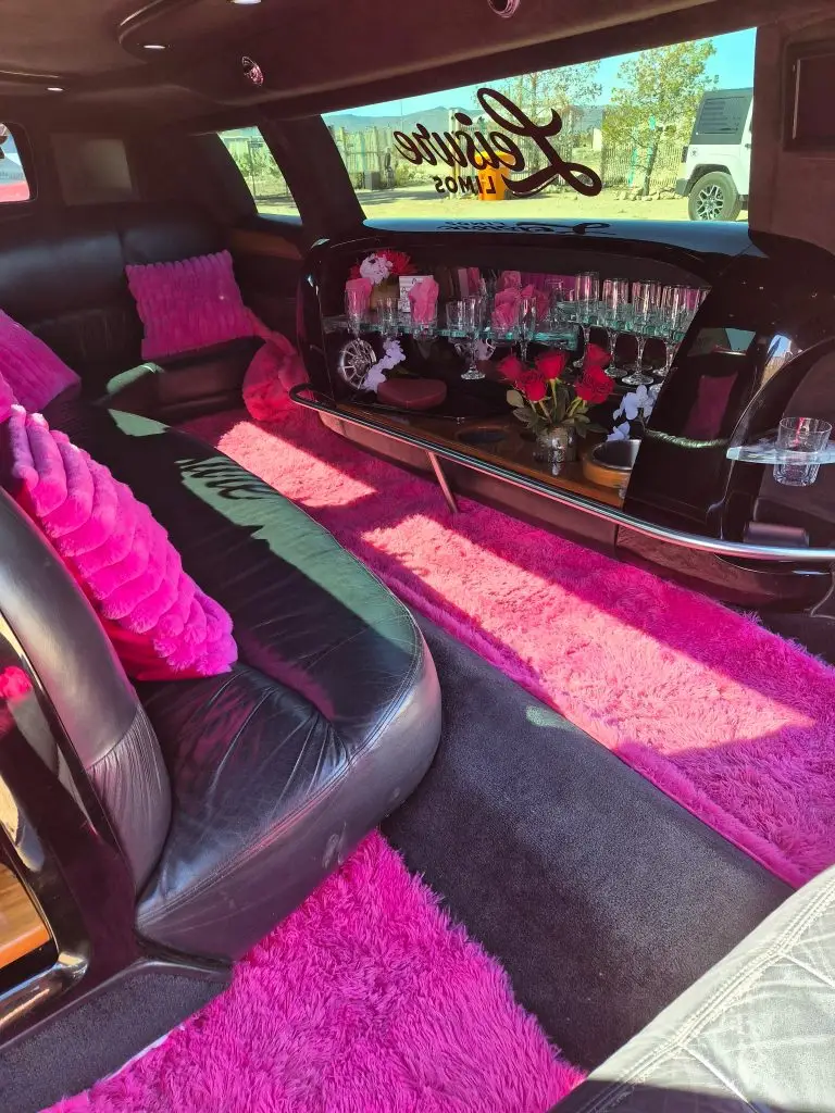 Leisure Limos gallery photo