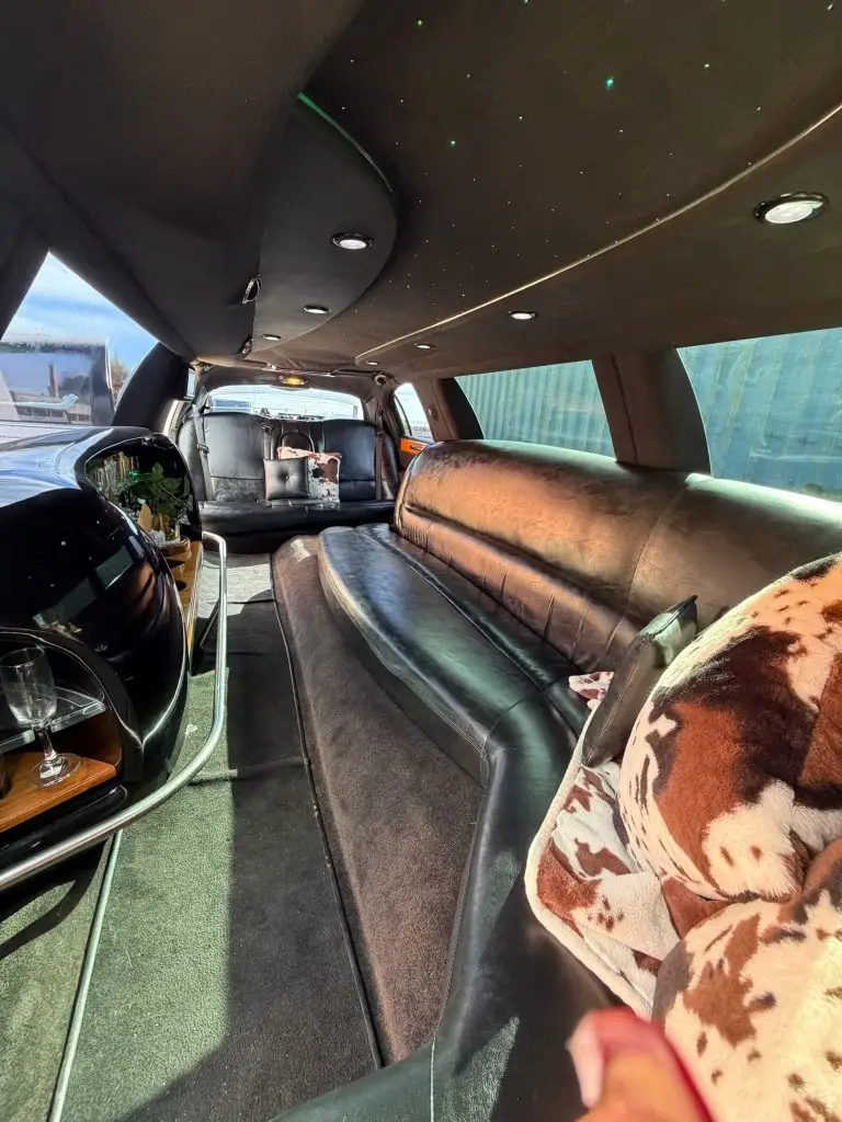 Leisure Limos gallery photo